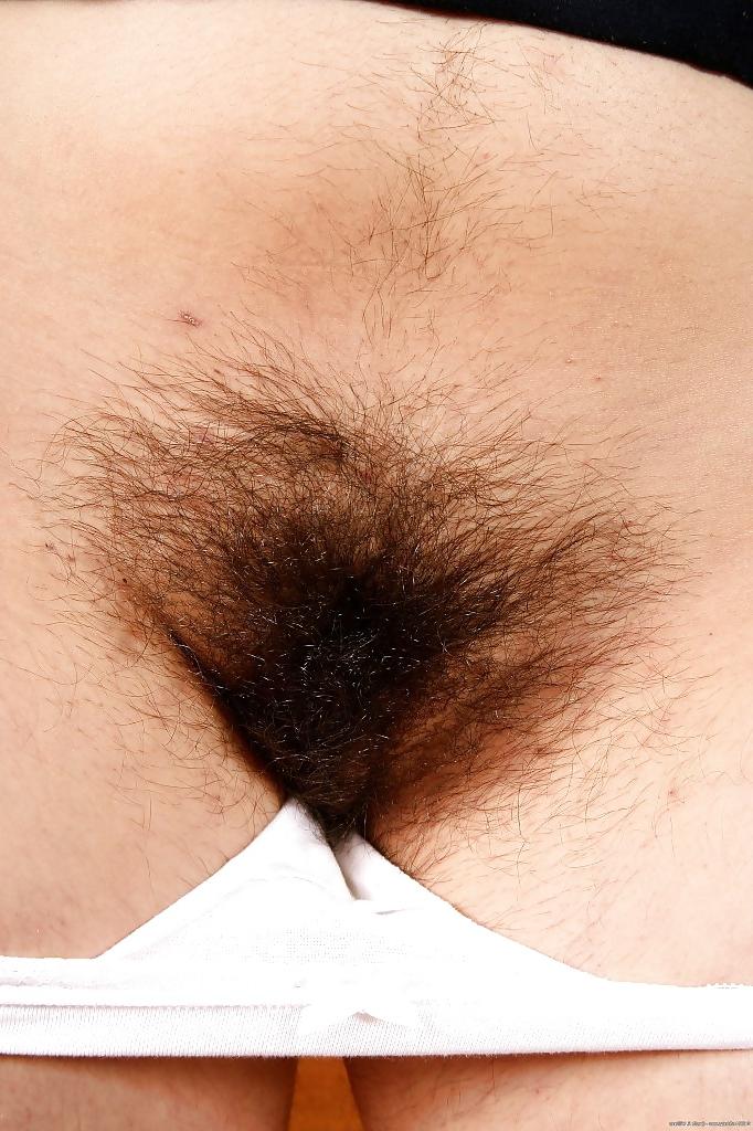 12P Fay's hairy pussy in tight white panties