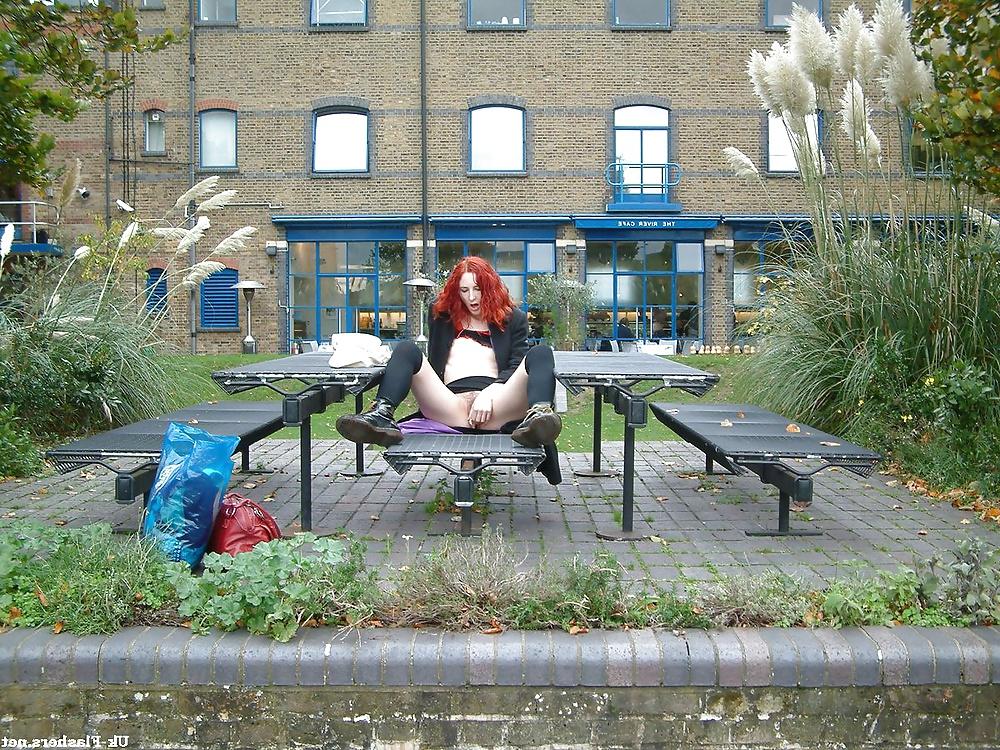 25P Monica public bush