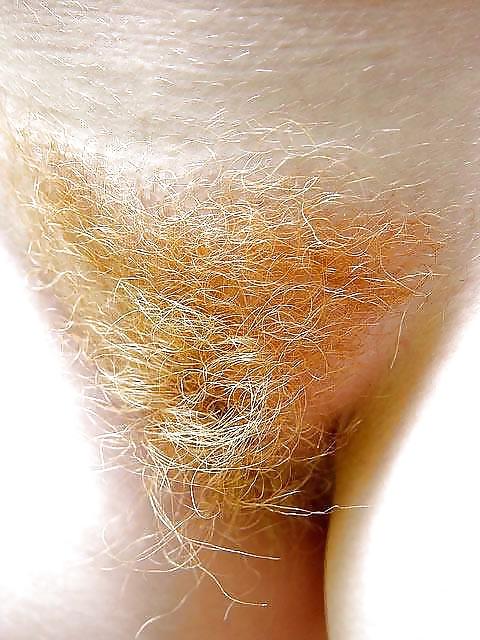25P MILFS MOMS and WIVES with BUSHY BUSH