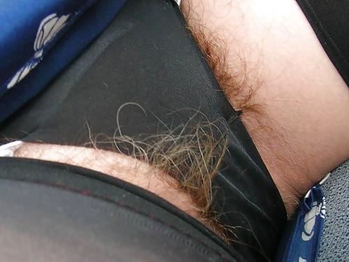 24P Hairy in panties