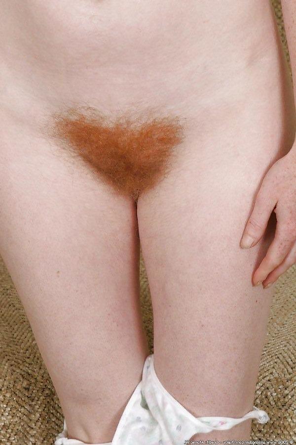 18P Hairy Redheads II