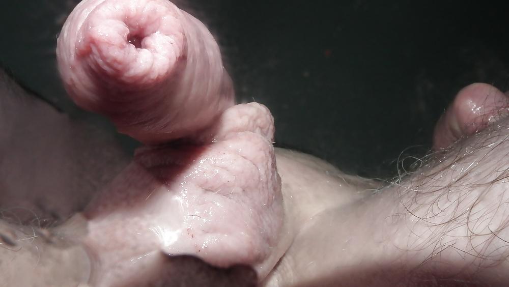 24P Shaved and oiled