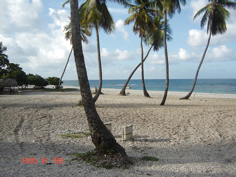 4P Bitch - Beach