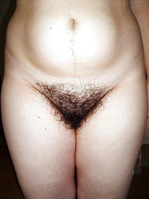25P Good Hairy Pussy