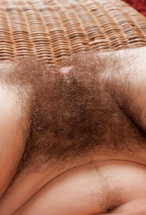 25P Good Hairy Pussy