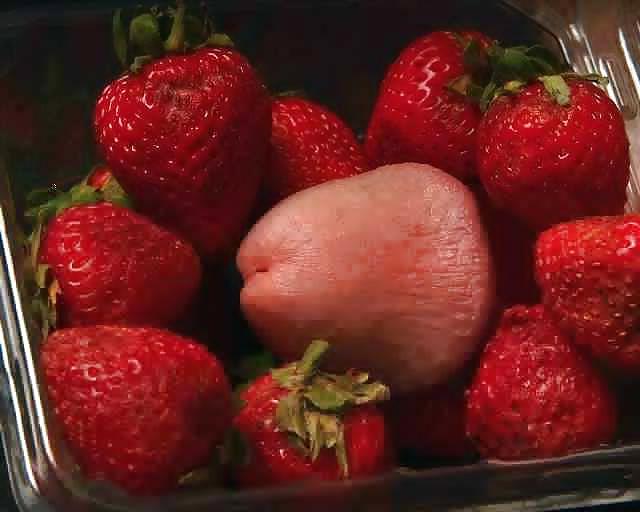 6P Tasty food for woman