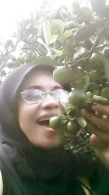 25P NN Malay Milf 1 - Ani