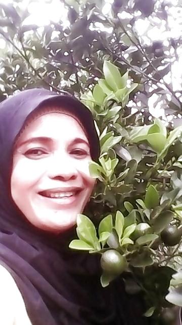 25P NN Malay Milf 1 - Ani
