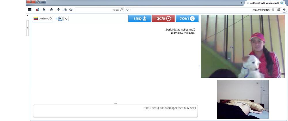 21P Chatrandom Flashing Sexcapades - 2015 January Edition
