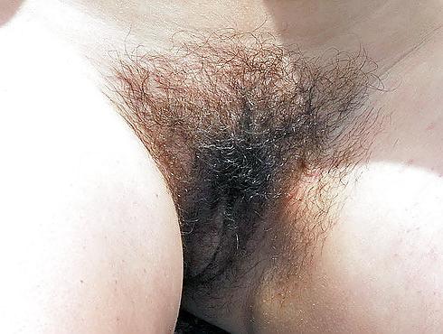 22P I Love Hairy Pussy