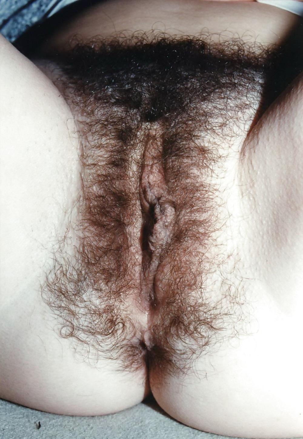 25P Hairy Pussy 