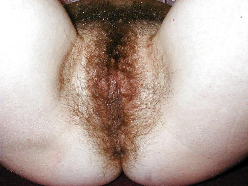 25P Hairy Pussy 