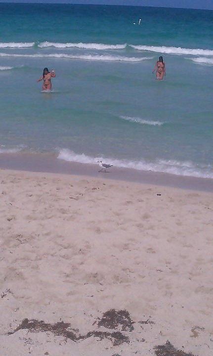 11P Beautiful black ob beach