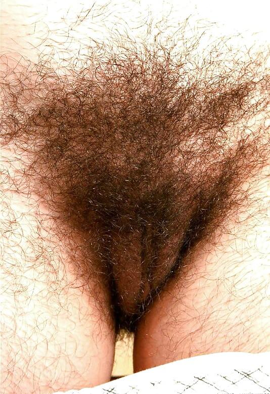 15P Hairy Caitlin