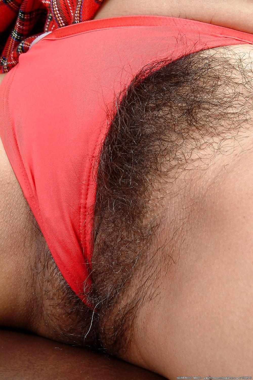 14P Hairy Panty Girls