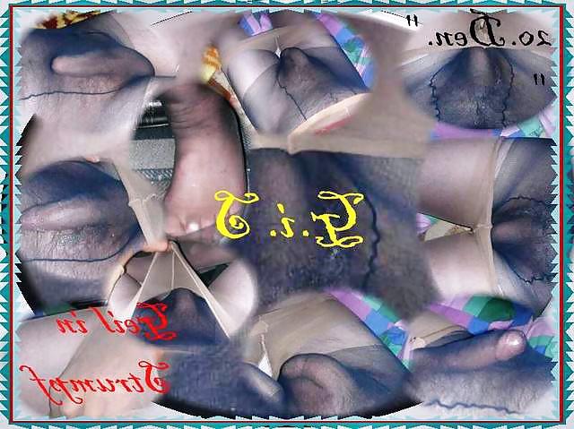 18P My Wallpapers for  X Hamster Friends, NYLON, Pantyhoses.