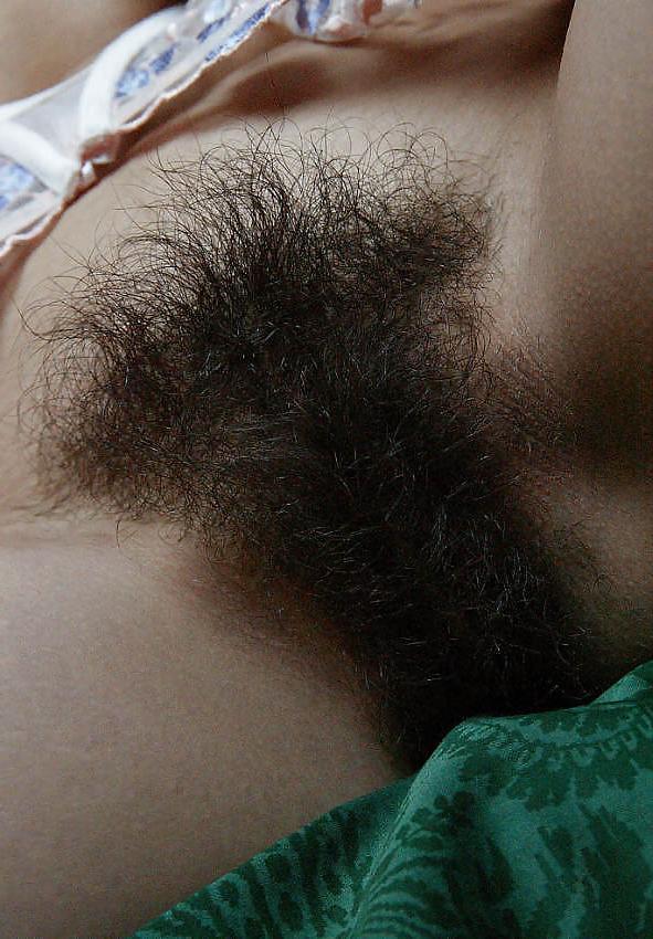 14P UbuntuNP -  Hairy - Set 12