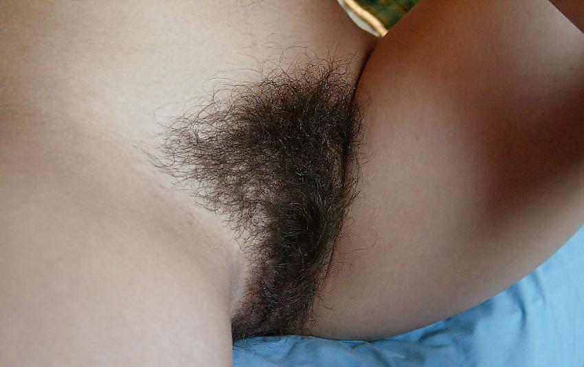 14P UbuntuNP -  Hairy - Set 12