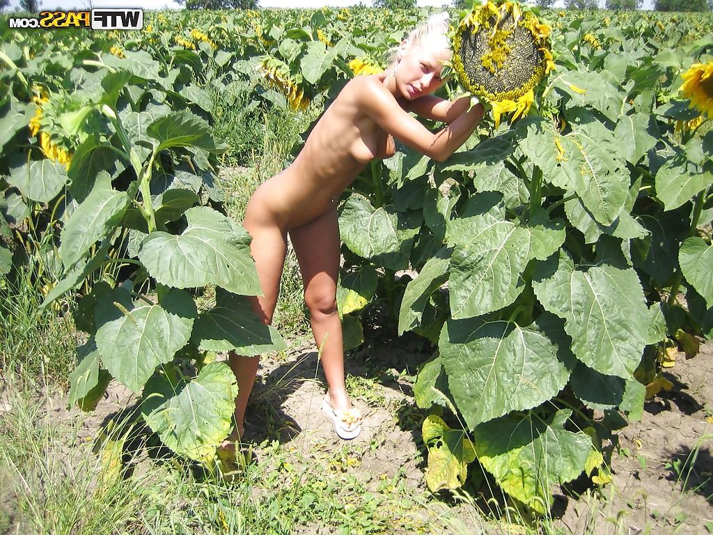 16P Homemade posing scene in a sunflower field with a hot blondie
