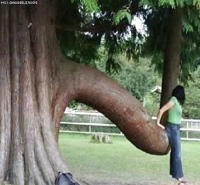 13P Funny pics