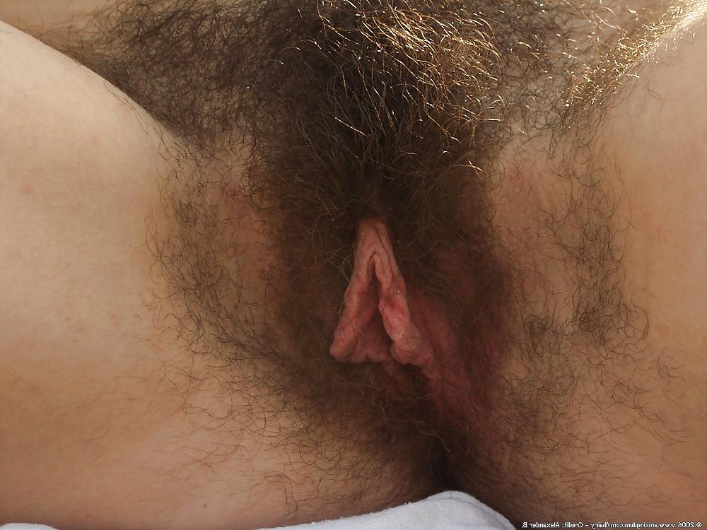 20P Hairy pussy