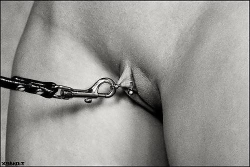 21P Found: collar + leash