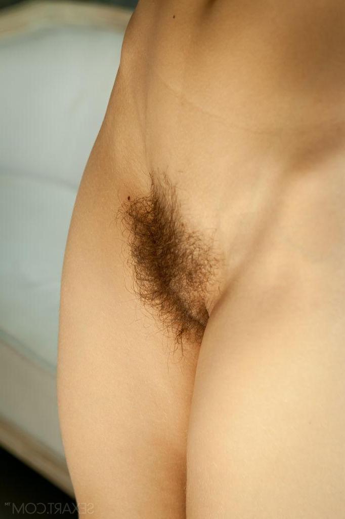 12P Brunette model Dennie shows you her hairy pussy in "Zigena"