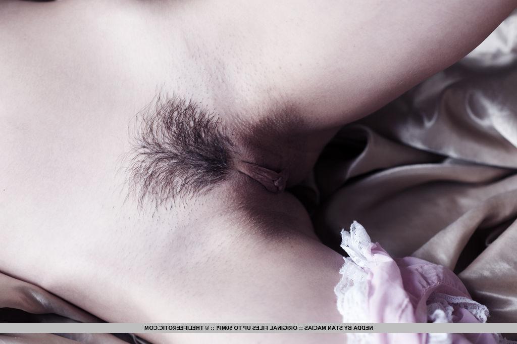 16P Brunette girl Nedda A shows you her hairy pussy in bed