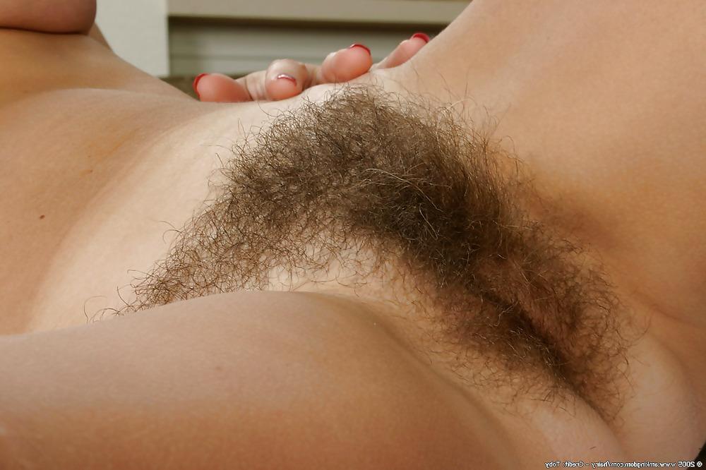 25P MORE LOVELY HAIRY PUSSY