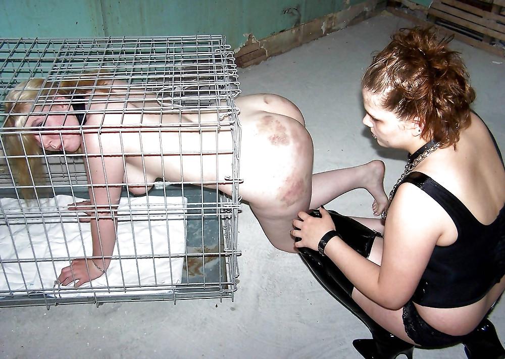 25P Bizzarre Wild Sex Pics