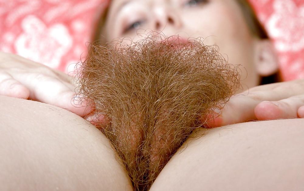 17P Hairy Pussy