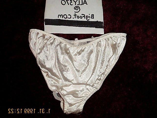 19P Ally s Nylon Panties