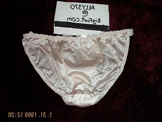 19P Ally s Nylon Panties