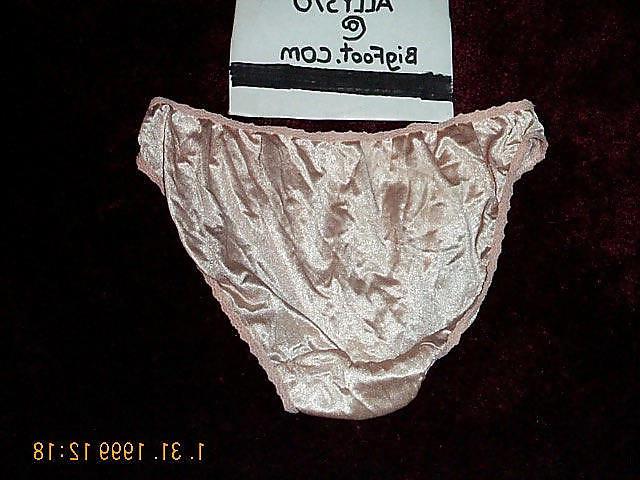 19P Ally s Nylon Panties