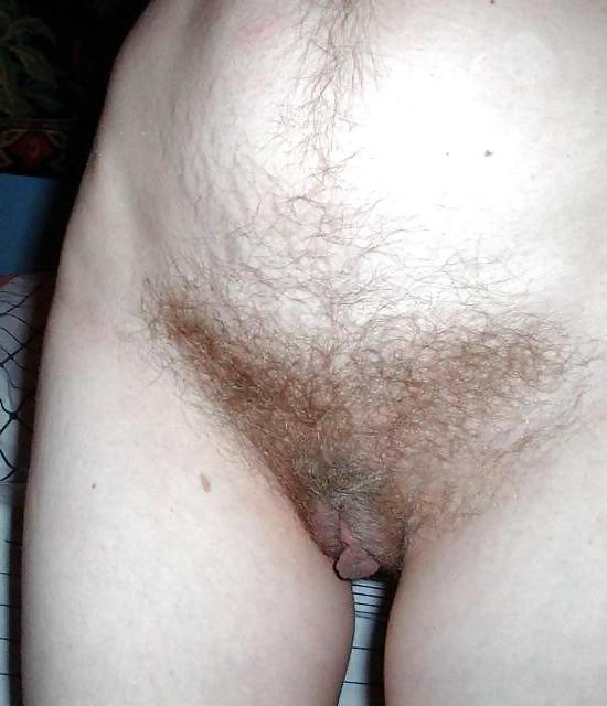 8P HAIRY AMATEUR 181
