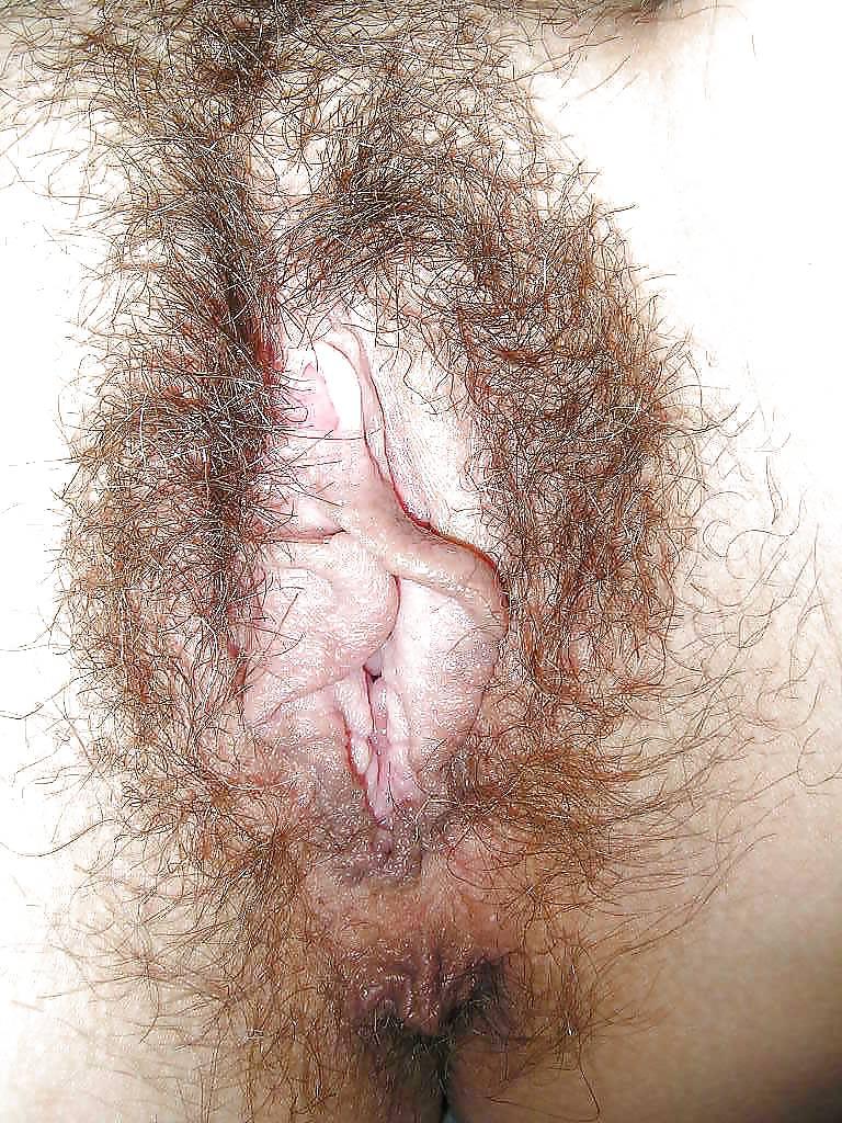 19P Hairy pussy