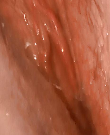 4P Cummy, Wet, Hairy, Pussy.