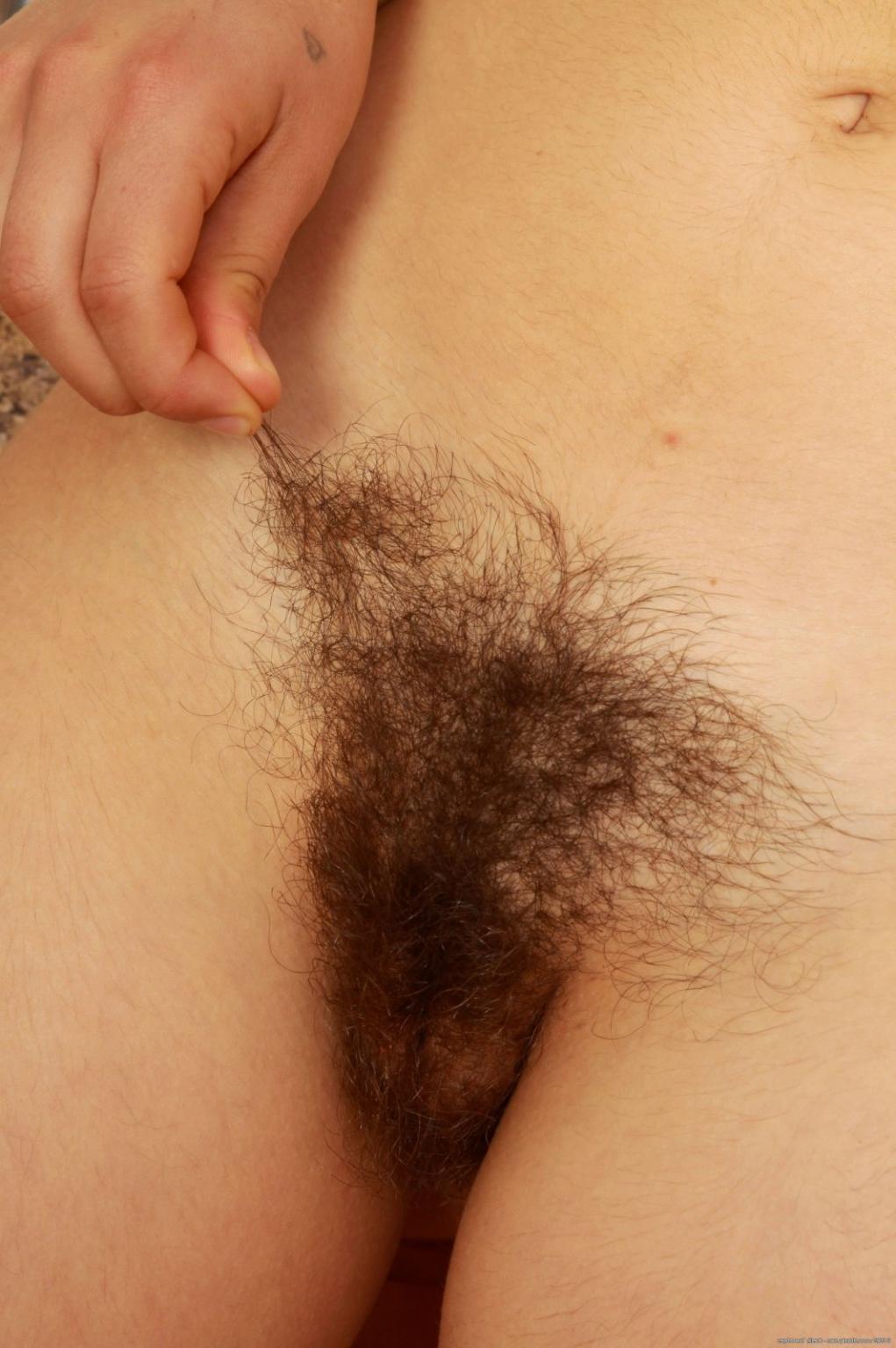 15P Petite hairy amateur teen Felix spreads pussy