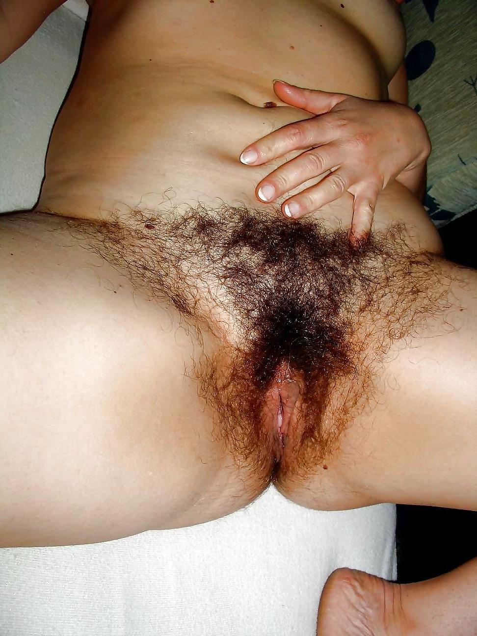 23P Hairy pussy ready for action