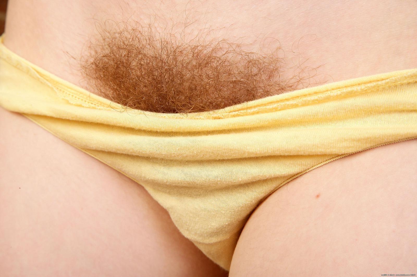 15P Hairy natural amateur teasing in her panties