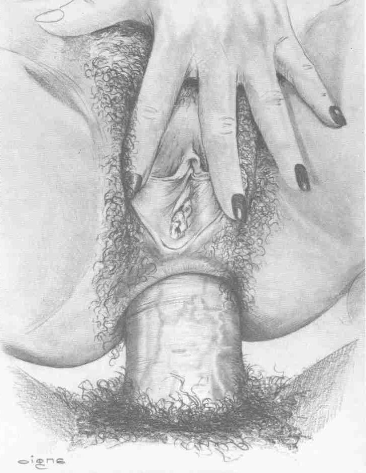 15P giant cocks stretch screaming asses
