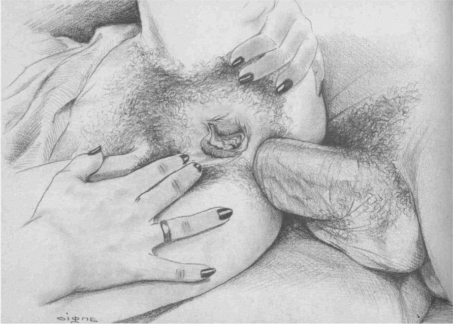 15P giant cocks stretch screaming asses
