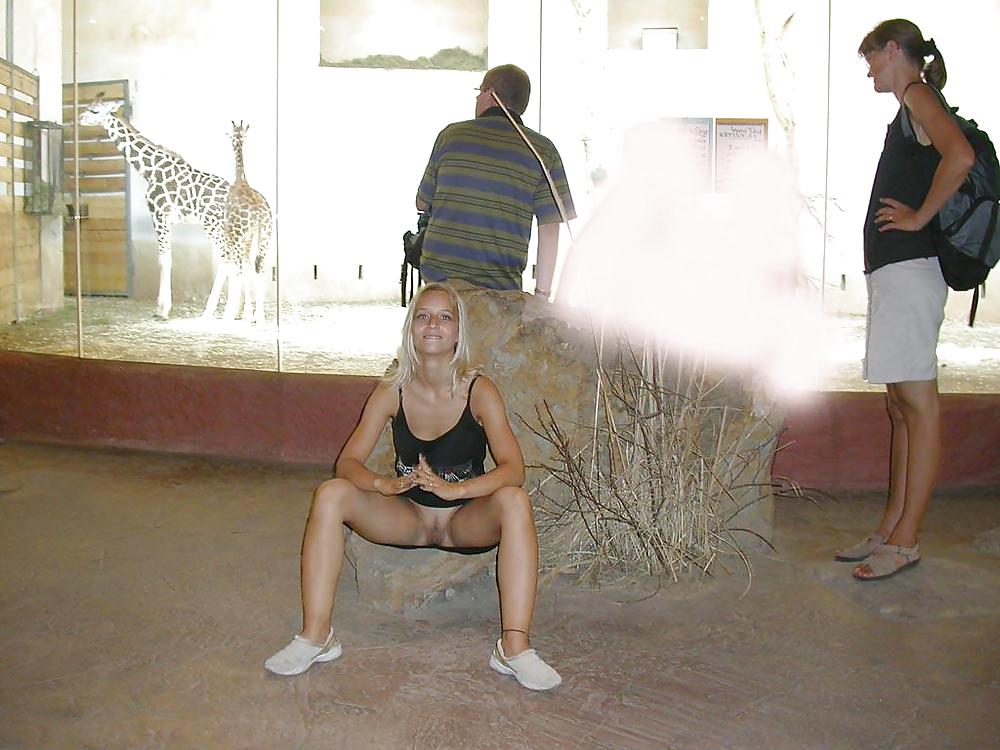 18P Wild girl in the zoo - N. C.