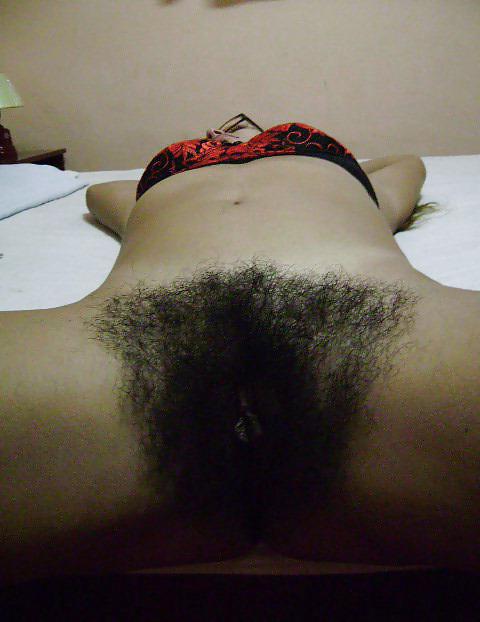 20P Tits n Bush 5