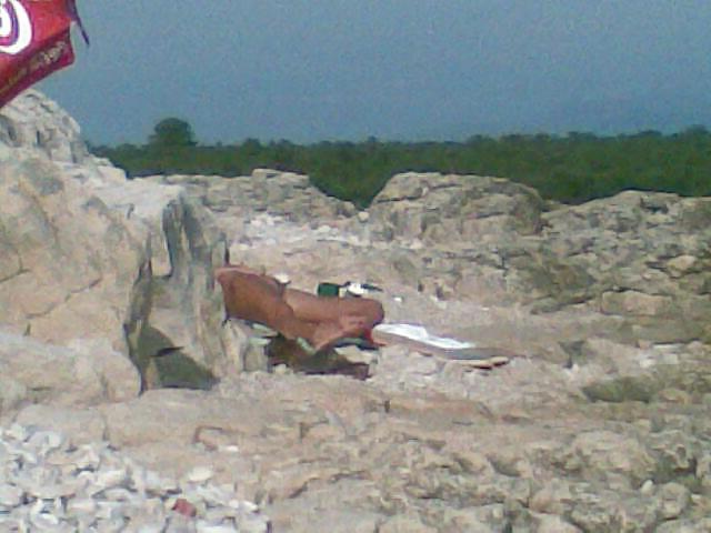 10P Beach spy photo