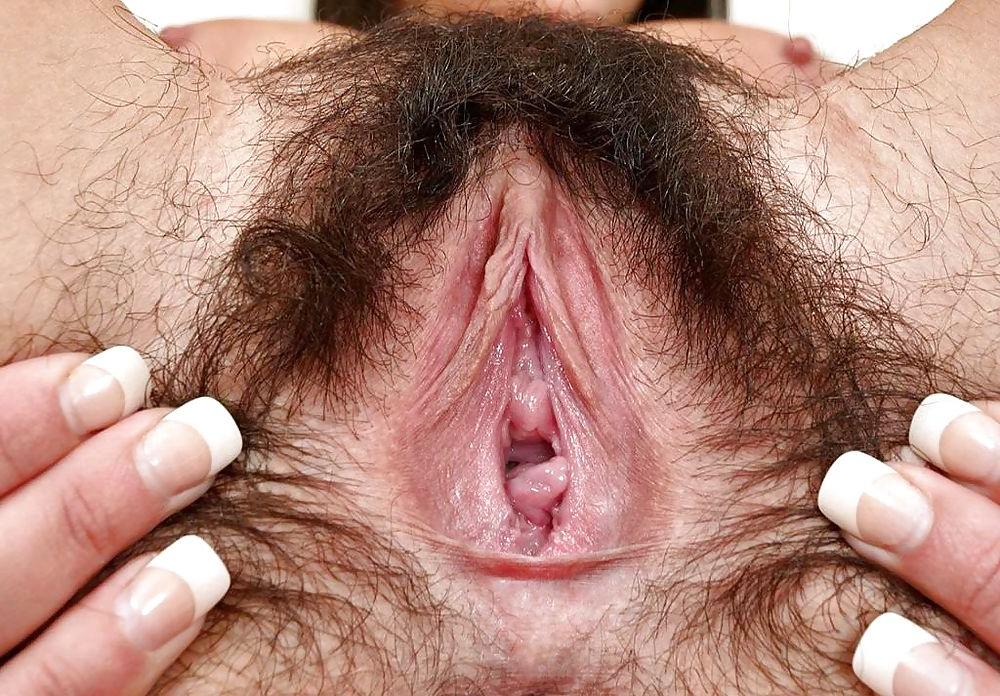 25P BUCETAS PELUDAS = hairy pussy CLOSE