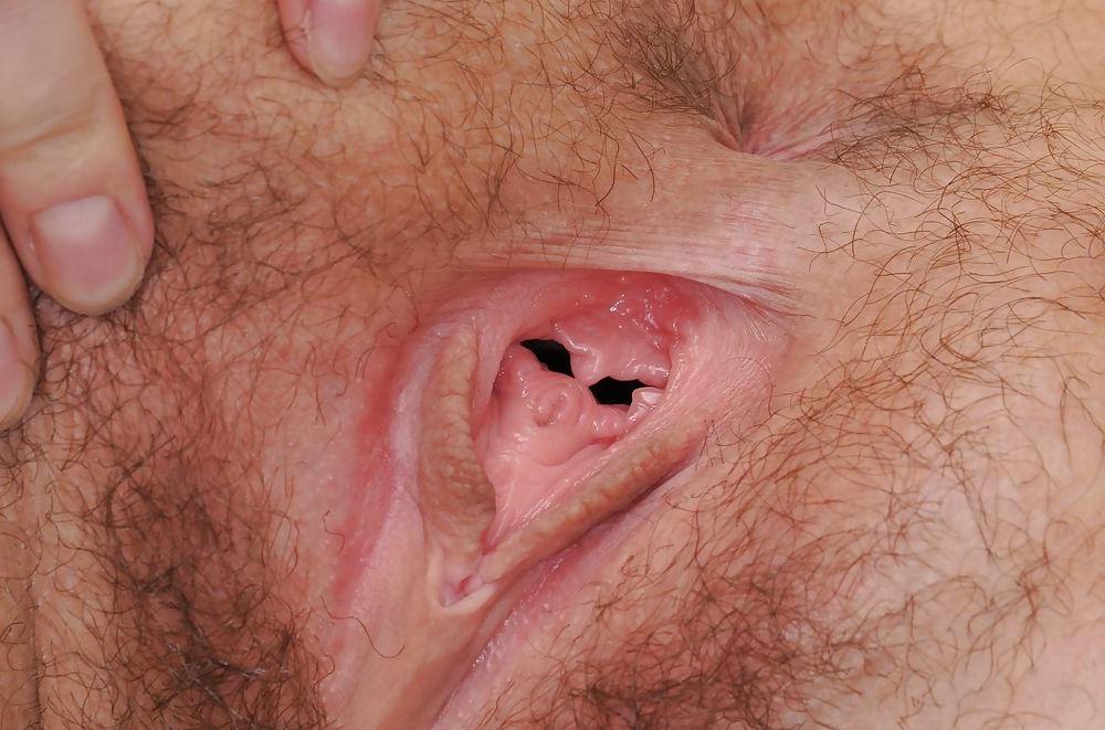 25P BUCETAS PELUDAS = hairy pussy CLOSE
