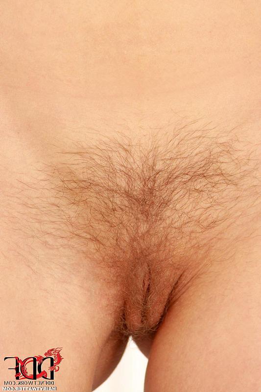 16P Hairy Lesbian Babes Lick Each Others Pussies