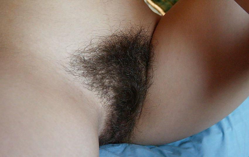 15P Pictures of hairy pussy 4