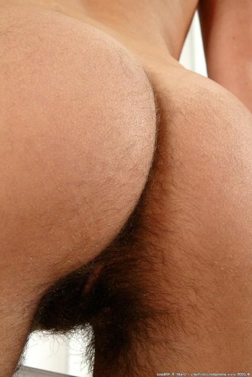 16P Wild hairy pussy on brunette
